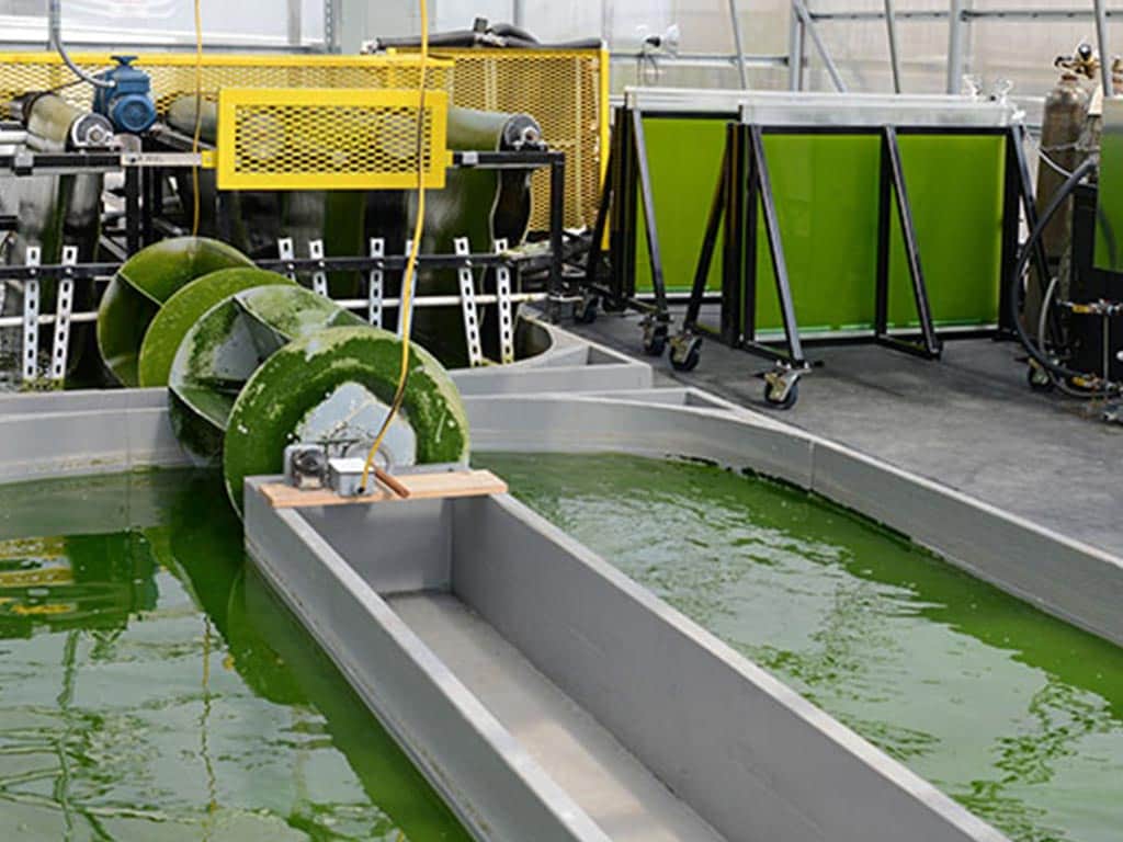 مشخصات و ویژگی های دستگاه برداشت جلبک