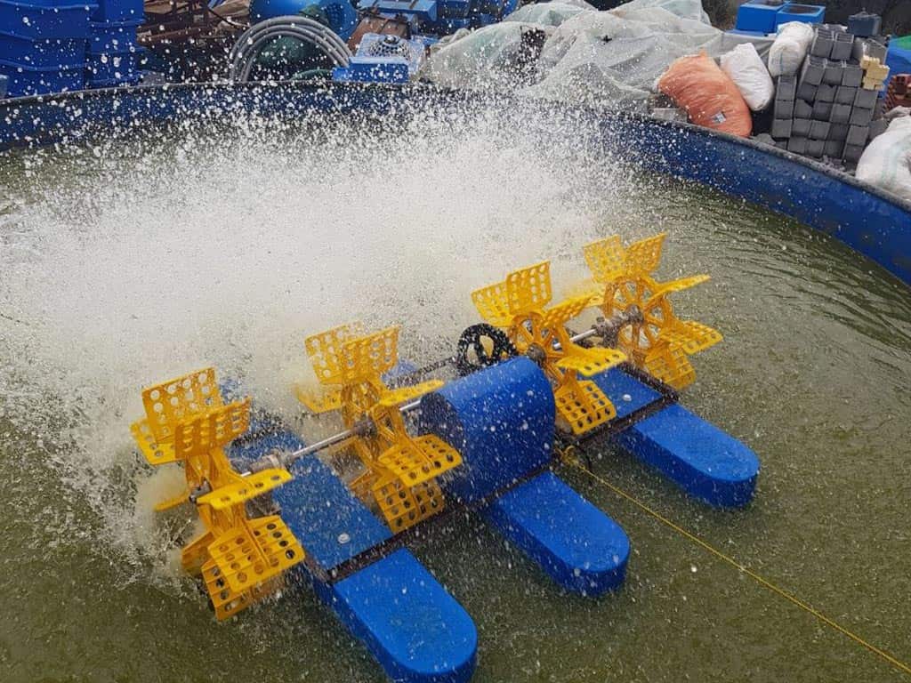 هوادهی در پرورش ماهی